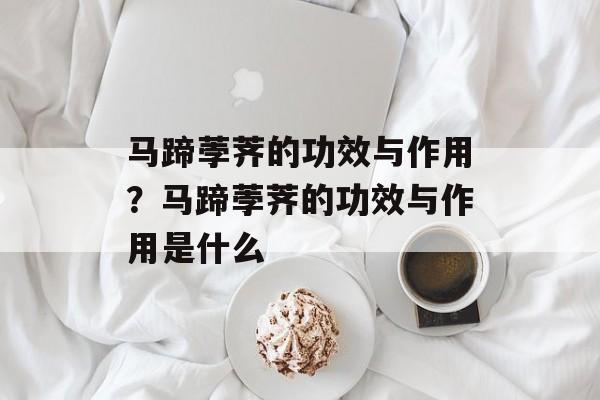 马蹄荸荠的功效与作用？马蹄荸荠的功效与作用是什么-第1张图片-