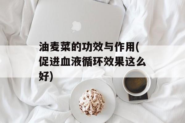 油麦菜的功效与作用(促进血液循环效果这么好)-第1张图片-