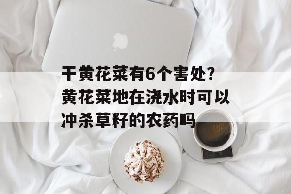 干黄花菜有6个害处？黄花菜地在浇水时可以冲杀草籽的农药吗-第1张图片-