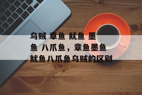 乌贼 章鱼 鱿鱼 墨鱼 八爪鱼，章鱼墨鱼鱿鱼八爪鱼乌贼的区别-第1张图片-