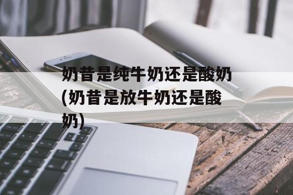 奶昔是纯牛奶还是酸奶(奶昔是放牛奶还是酸奶)-第1张图片-