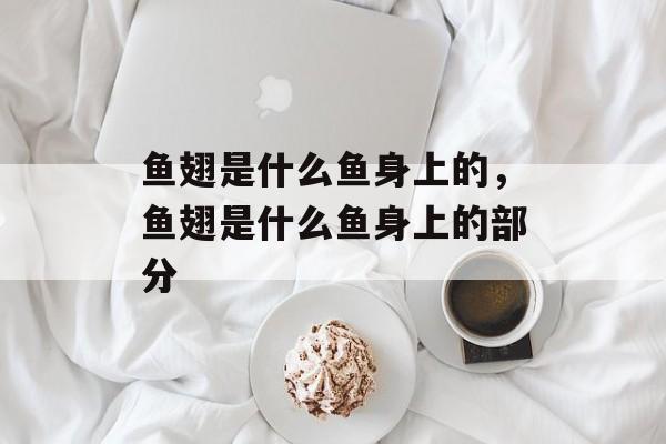 鱼翅是什么鱼身上的，鱼翅是什么鱼身上的部分-第1张图片-
