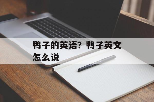 鸭子的英语？鸭子英文怎么说-第1张图片-