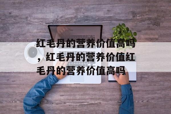 红毛丹的营养价值高吗，红毛丹的营养价值红毛丹的营养价值高吗-第1张图片-