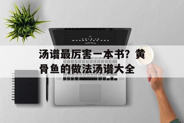 汤谱最厉害一本书？黄骨鱼的做法汤谱大全-第1张图片-