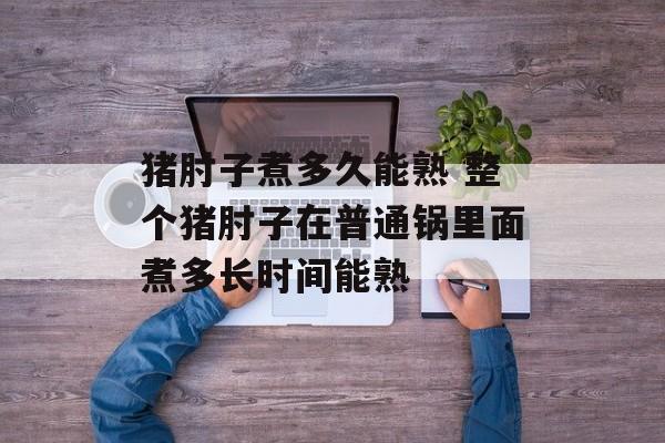 猪肘子煮多久能熟 整个猪肘子在普通锅里面煮多长时间能熟-第1张图片-