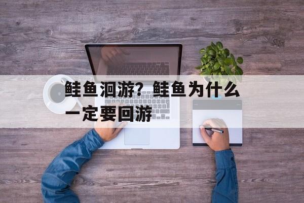 鲑鱼洄游？鲑鱼为什么一定要回游-第1张图片-