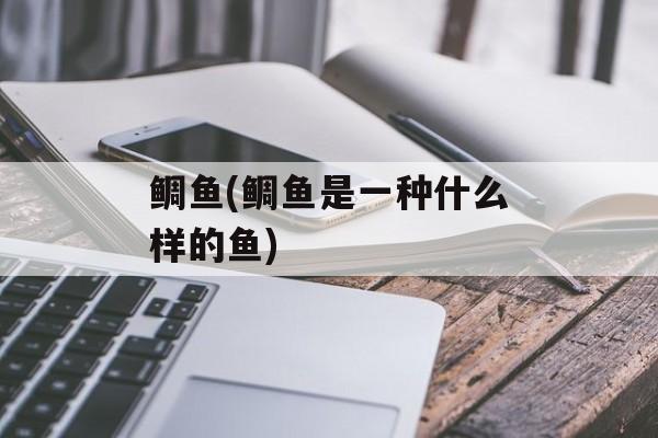 鲷鱼(鲷鱼是一种什么样的鱼)-第1张图片-