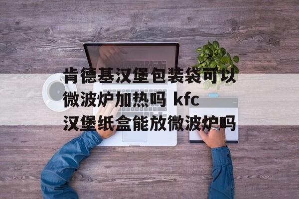肯德基汉堡包装袋可以微波炉加热吗 kfc汉堡纸盒能放微波炉吗-第1张图片-