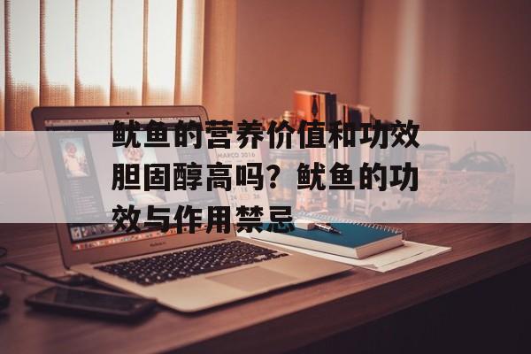 鱿鱼的营养价值和功效胆固醇高吗？鱿鱼的功效与作用禁忌-第1张图片-