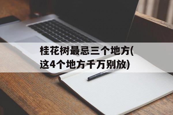 桂花树最忌三个地方(这4个地方千万别放)-第1张图片-