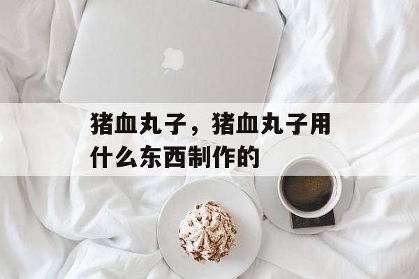 猪血丸子，猪血丸子用什么东西制作的-第1张图片-