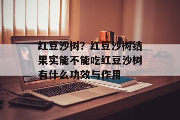 红豆沙树？红豆沙树结果实能不能吃红豆沙树有什么功效与作用-第1张图片-