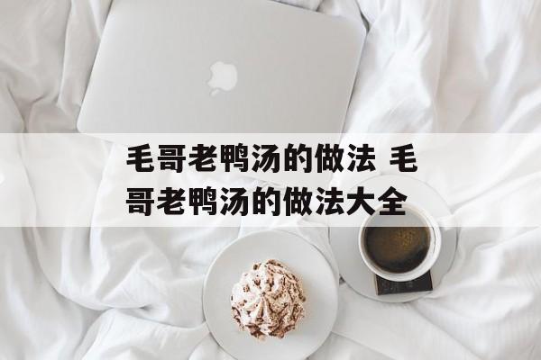 毛哥老鸭汤的做法 毛哥老鸭汤的做法大全-第1张图片-