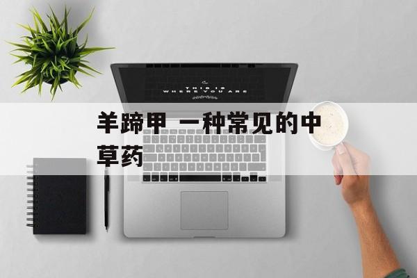 羊蹄甲 一种常见的中草药-第1张图片-