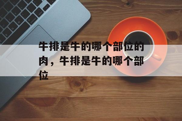 牛排是牛的哪个部位的肉，牛排是牛的哪个部位-第1张图片-