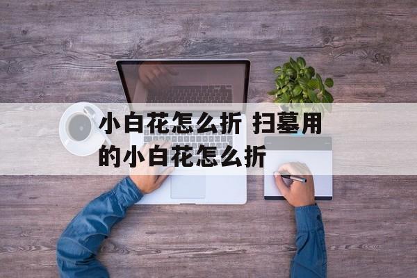 小白花怎么折 扫墓用的小白花怎么折-第1张图片-