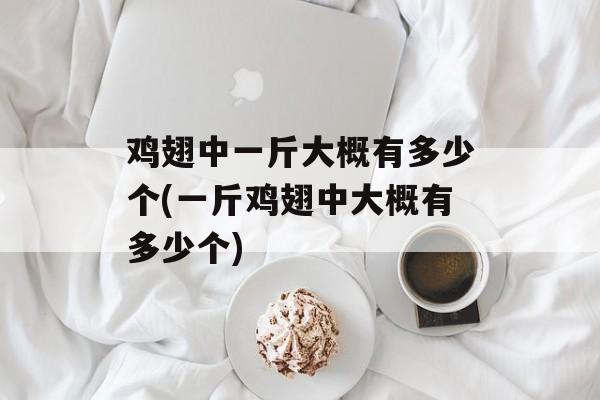 鸡翅中一斤大概有多少个(一斤鸡翅中大概有多少个)-第1张图片-