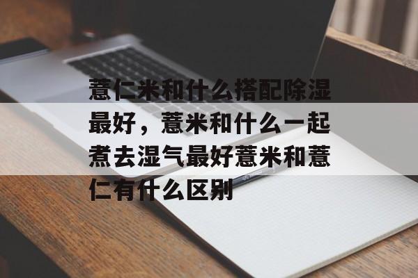 薏仁米和什么搭配除湿最好，薏米和什么一起煮去湿气最好薏米和薏仁有什么区别-第1张图片-