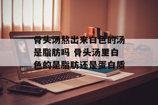 骨头汤熬出来白色的汤是脂肪吗 骨头汤里白色的是脂肪还是蛋白质-第1张图片-