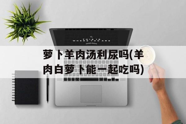 萝卜羊肉汤利尿吗(羊肉白萝卜能一起吃吗)-第1张图片-