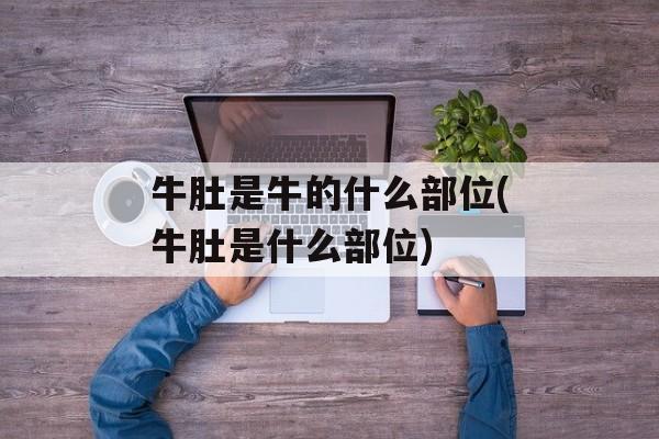 牛肚是牛的什么部位(牛肚是什么部位)-第1张图片-