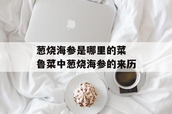 葱烧海参是哪里的菜 鲁菜中葱烧海参的来历-第1张图片-