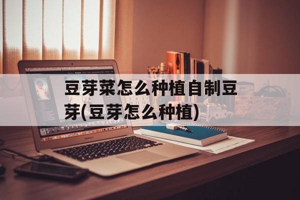 豆芽菜怎么种植自制豆芽(豆芽怎么种植)-第1张图片-