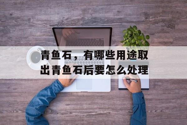 青鱼石，有哪些用途取出青鱼石后要怎么处理-第1张图片-