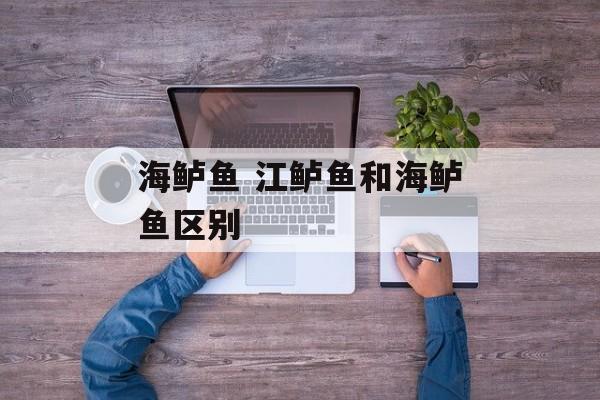 海鲈鱼 江鲈鱼和海鲈鱼区别-第1张图片-
