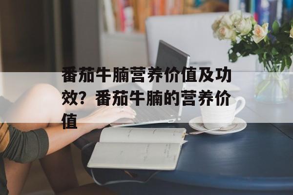 番茄牛腩营养价值及功效？番茄牛腩的营养价值-第1张图片-