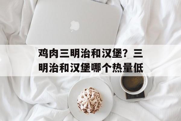 鸡肉三明治和汉堡？三明治和汉堡哪个热量低-第1张图片-