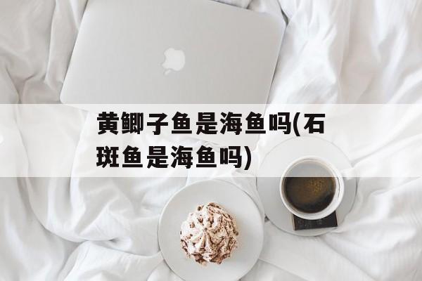 黄鲫子鱼是海鱼吗(石斑鱼是海鱼吗)-第1张图片-