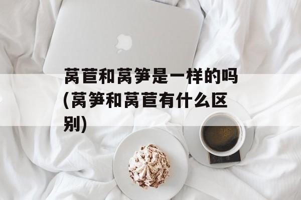 莴苣和莴笋是一样的吗(莴笋和莴苣有什么区别)-第1张图片-