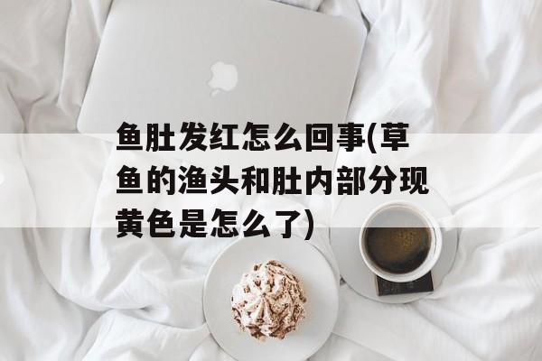鱼肚发红怎么回事(草鱼的渔头和肚内部分现黄色是怎么了)-第1张图片-