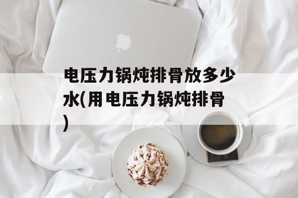 电压力锅炖排骨放多少水(用电压力锅炖排骨)-第1张图片-