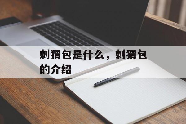 刺猬包是什么，刺猬包的介绍-第1张图片-