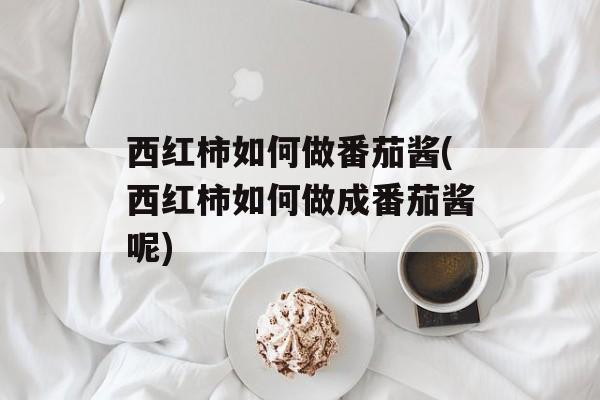 西红柿如何做番茄酱(西红柿如何做成番茄酱呢)-第1张图片-