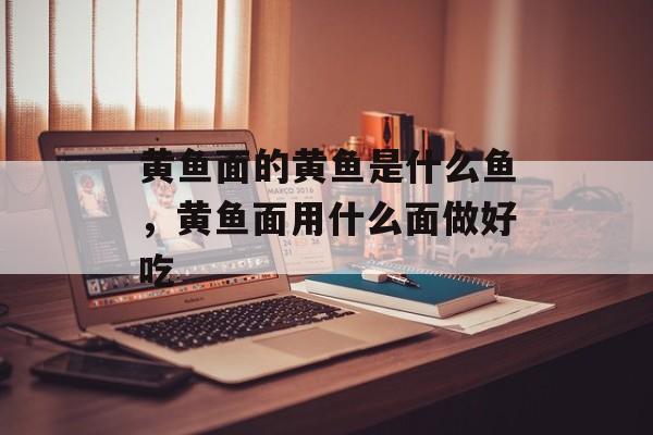 黄鱼面的黄鱼是什么鱼，黄鱼面用什么面做好吃-第1张图片-