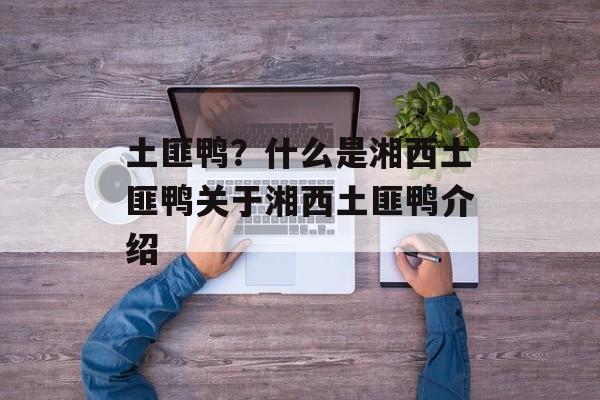 土匪鸭？什么是湘西土匪鸭关于湘西土匪鸭介绍-第1张图片-