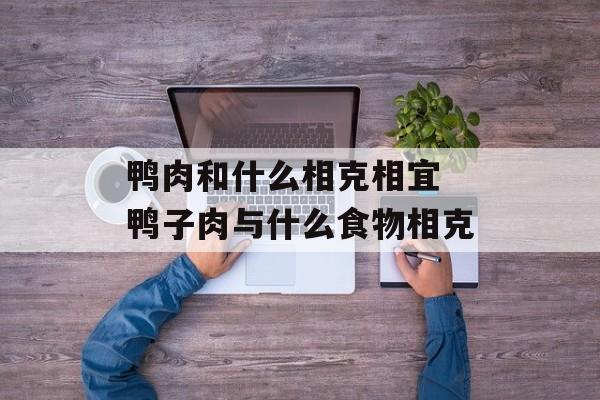 鸭肉和什么相克相宜 鸭子肉与什么食物相克-第1张图片-