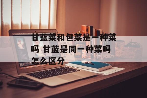 甘蓝菜和包菜是一种菜吗 甘蓝是同一种菜吗怎么区分-第1张图片-