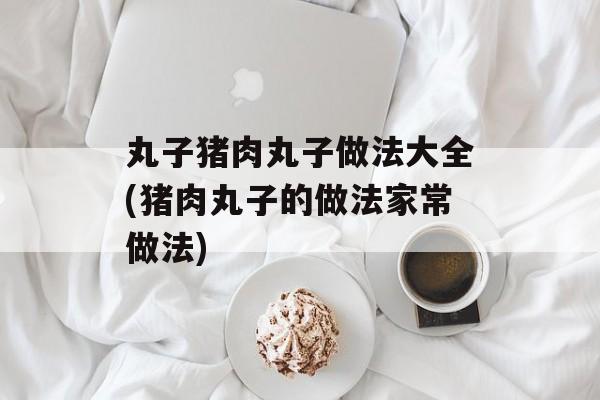 丸子猪肉丸子做法大全(猪肉丸子的做法家常做法)-第1张图片-
