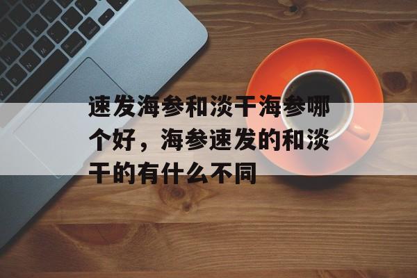 速发海参和淡干海参哪个好，海参速发的和淡干的有什么不同-第1张图片-