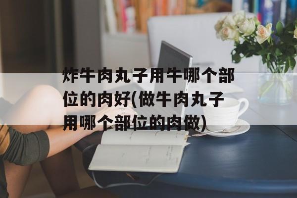 炸牛肉丸子用牛哪个部位的肉好(做牛肉丸子用哪个部位的肉做)-第1张图片-
