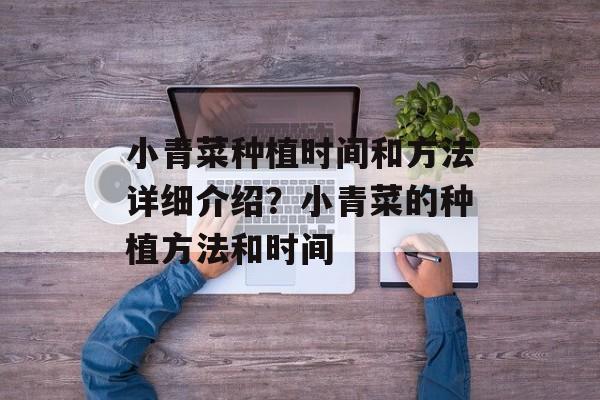 小青菜种植时间和方法详细介绍？小青菜的种植方法和时间-第1张图片-