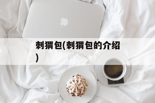 刺猬包(刺猬包的介绍)-第1张图片-