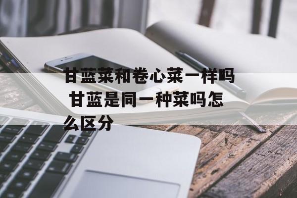 甘蓝菜和卷心菜一样吗 甘蓝是同一种菜吗怎么区分-第1张图片-