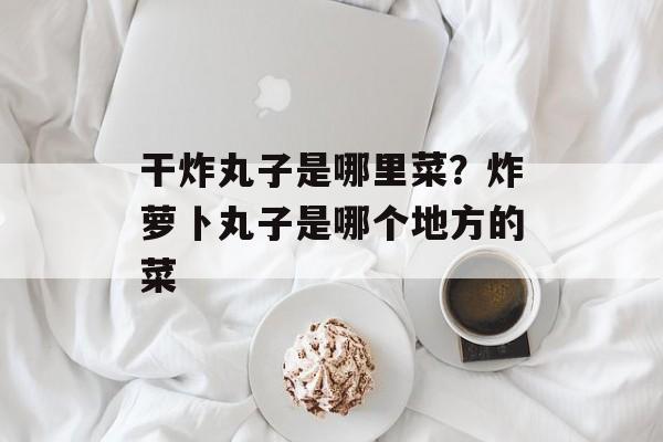 干炸丸子是哪里菜？炸萝卜丸子是哪个地方的菜-第1张图片-
