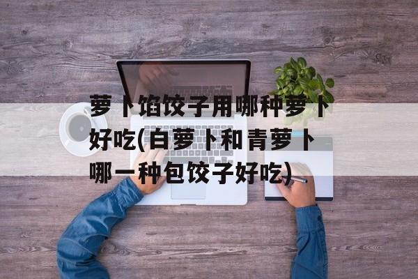 萝卜馅饺子用哪种萝卜好吃(白萝卜和青萝卜哪一种包饺子好吃)-第1张图片-